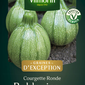 Courgette Boldenice F1 - Graines d'Exception