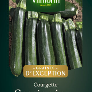 Courgette Cassiopée HF1 - Graines d'Exception