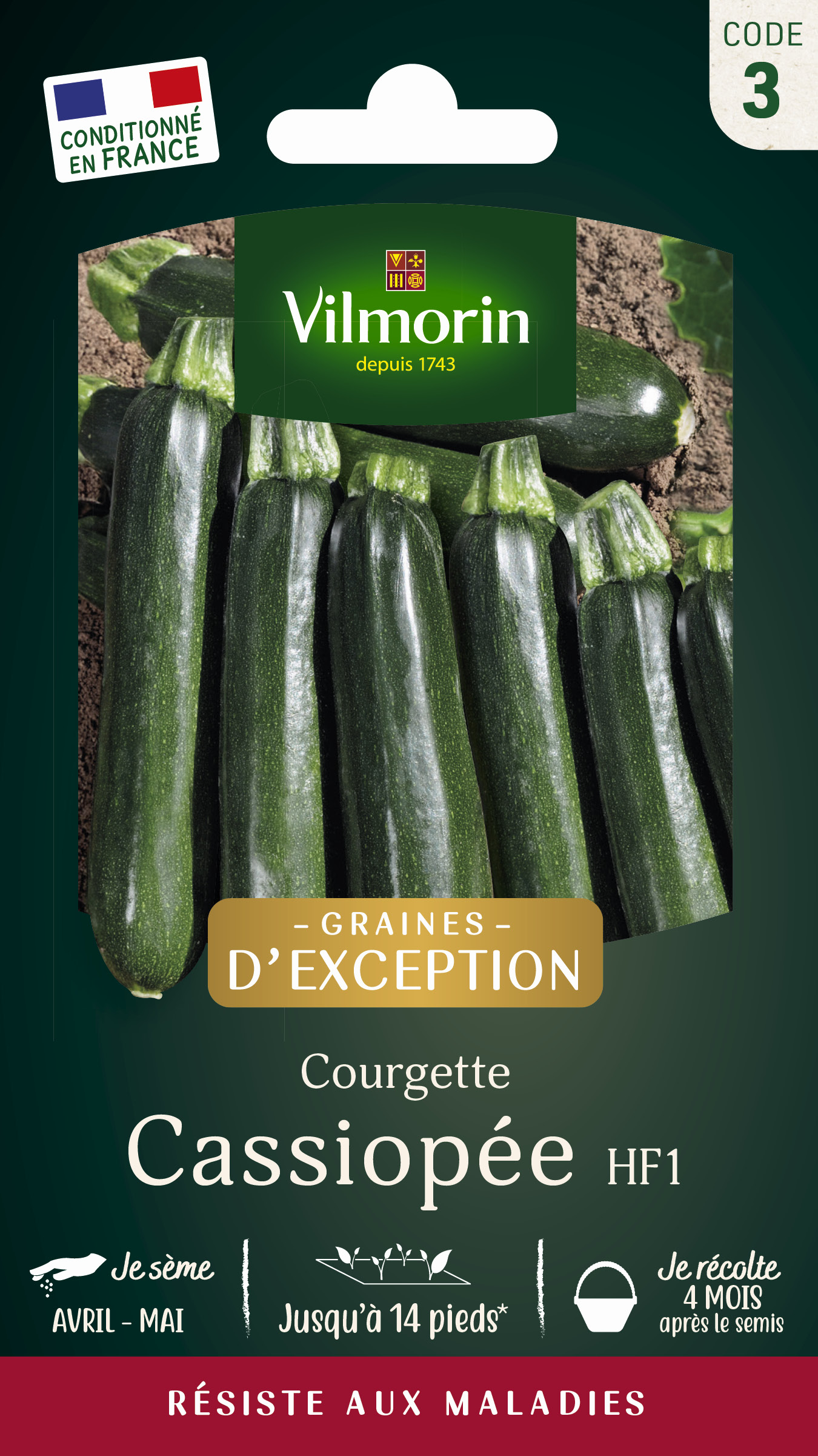 Courgette Cassiopée HF1 - Graines d'Exception