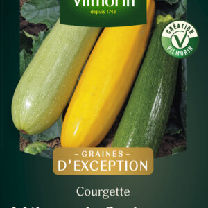 Courgette Mélange de Couleurs - Graines d'Exception