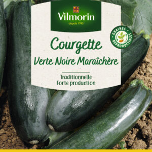 Courgette Précoce Maraîchère - Grand Modèle