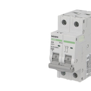 Disjoncteur bipolaire modulaire 63A courbe C Noark Ex9BN