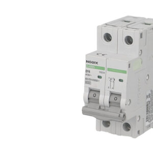 Disjoncteur bipolaire modulaire 63A courbe D Noark Ex9BN