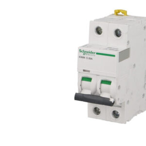 Disjoncteur modulaire bipolaire Schneider Acti9 iC60N 2A courbe D