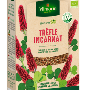 Engrais vert trèfle incarnat - BIO - Grand modèle