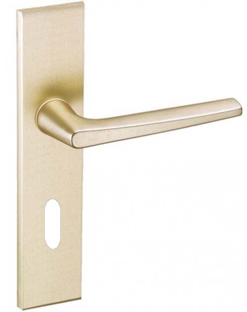 Ensemble Riv-Junior type clé L finition champagne VACHETTE 014405