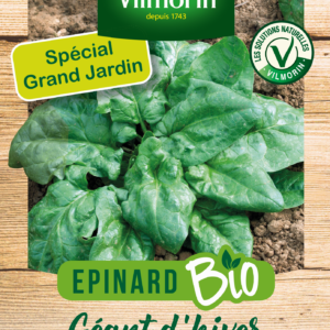 Epinard Géant d'Hiver - BIO - Grand Modèle