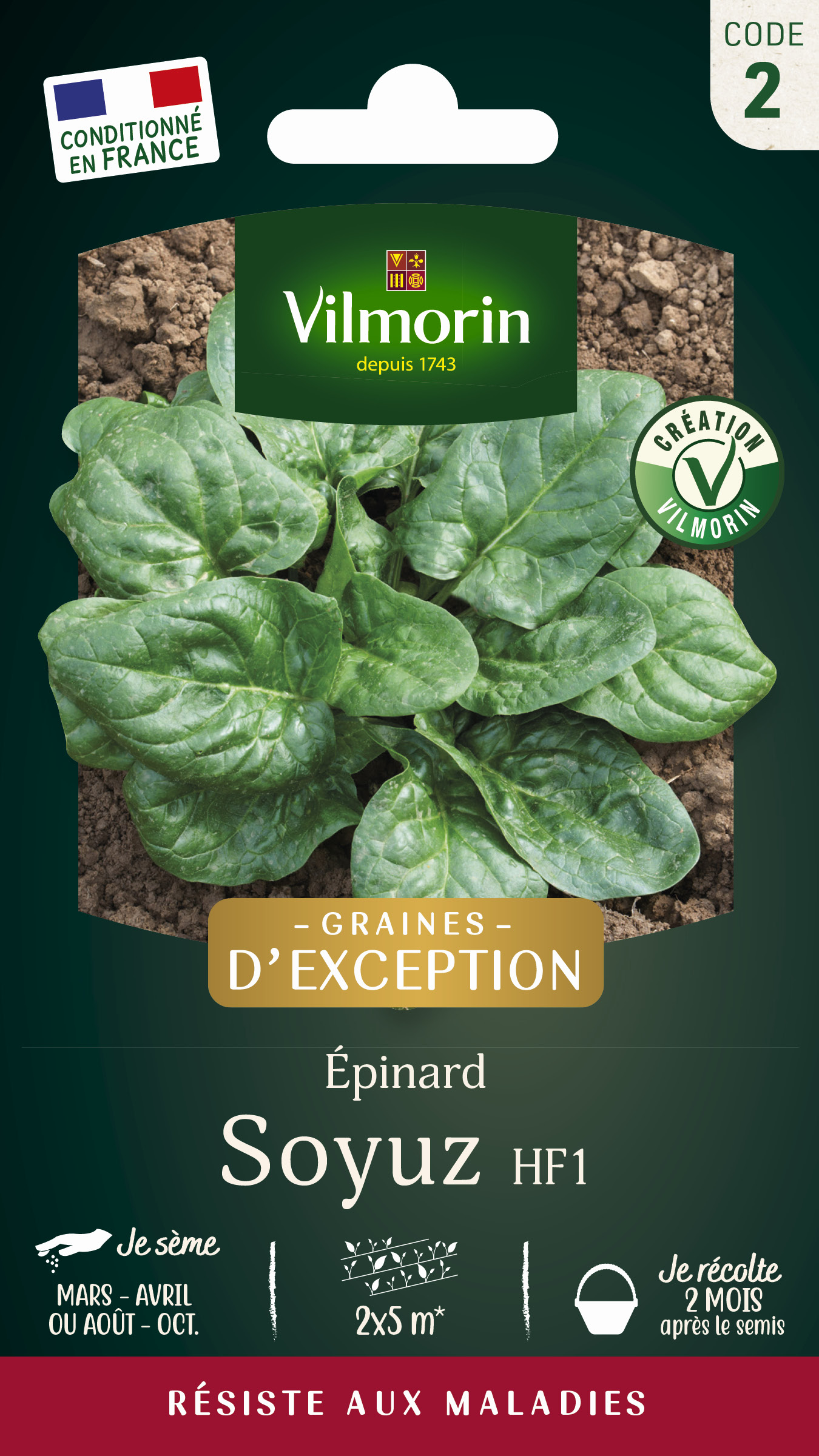 Epinard Soyuz F1 - Graines d'Exception