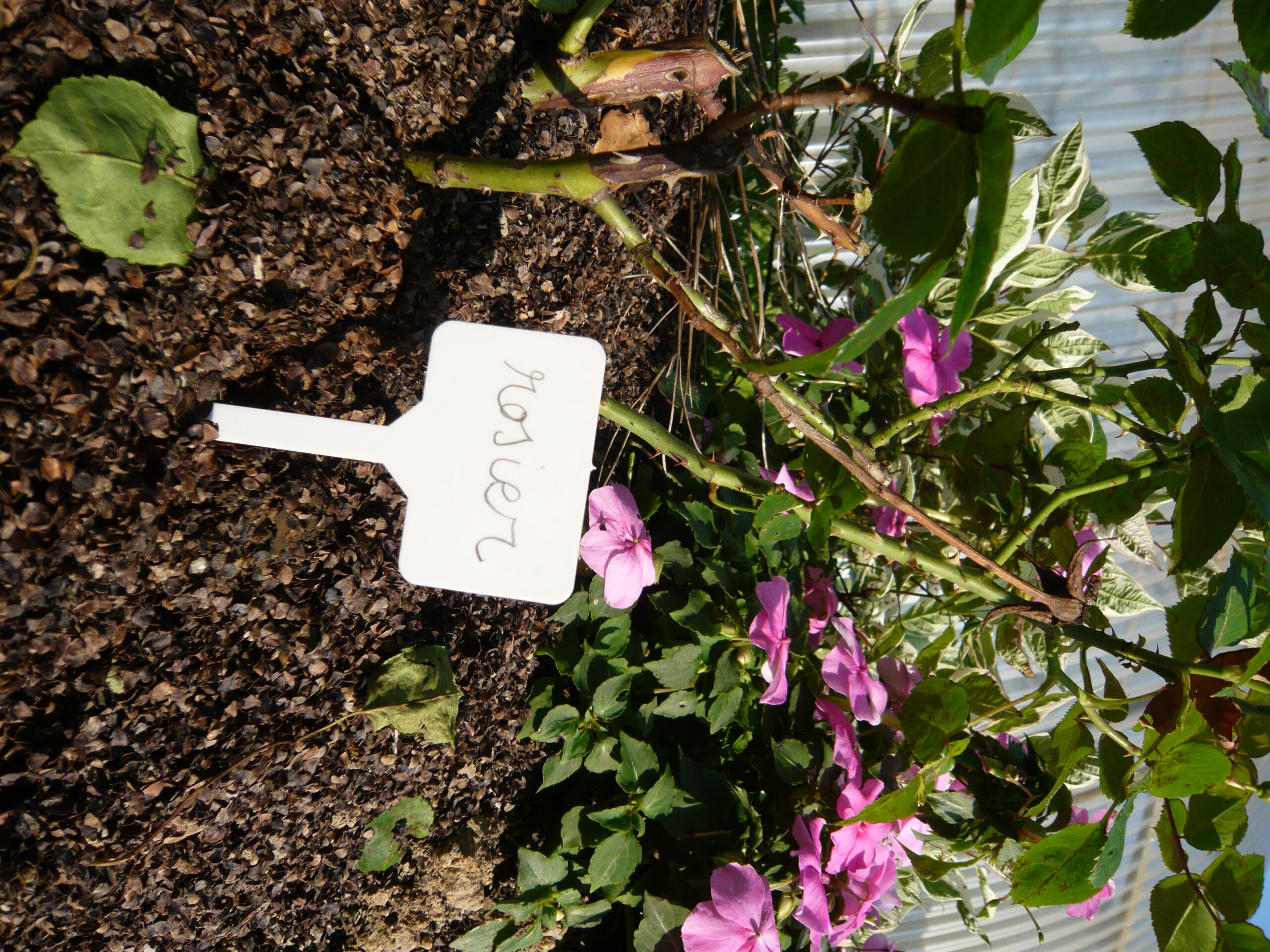 Étiquette Marquage à Planter (x12)