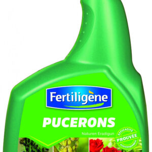 Traitement des insectes pucerons FERTILIGENE, pour plantes d'ornement, 800ml