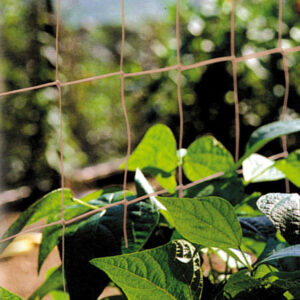 Filet à Ramer en Jute 2 x 5 m – Support Haricots et Pois