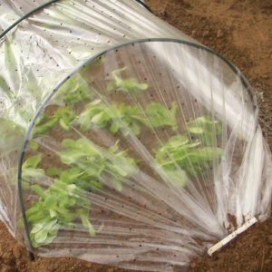 Film Tunnel de Croissance - 2 m x 5 m