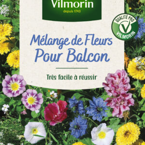 Fleurs Annuelles pour Balcons - 4 m² - Mélange de fleurs