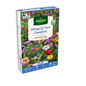 Fleurs Champêtres - 25 m² - Mélange de fleurs