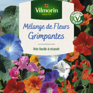Fleurs Grimpantes - 10 m² - Mélange de fleurs