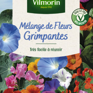 Fleurs Grimpantes - 4 m² - Mélange de fleurs