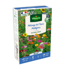 Fleurs Mellifères - 50 m² - Mélange de fleurs