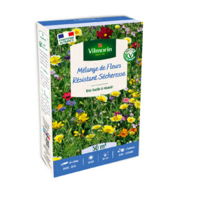 Fleurs Terrain Sec - 50 m² - Mélange de fleurs