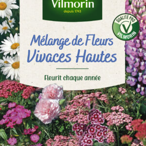 Fleurs Vivaces Hautes - 4 m² - Mélange de fleurs