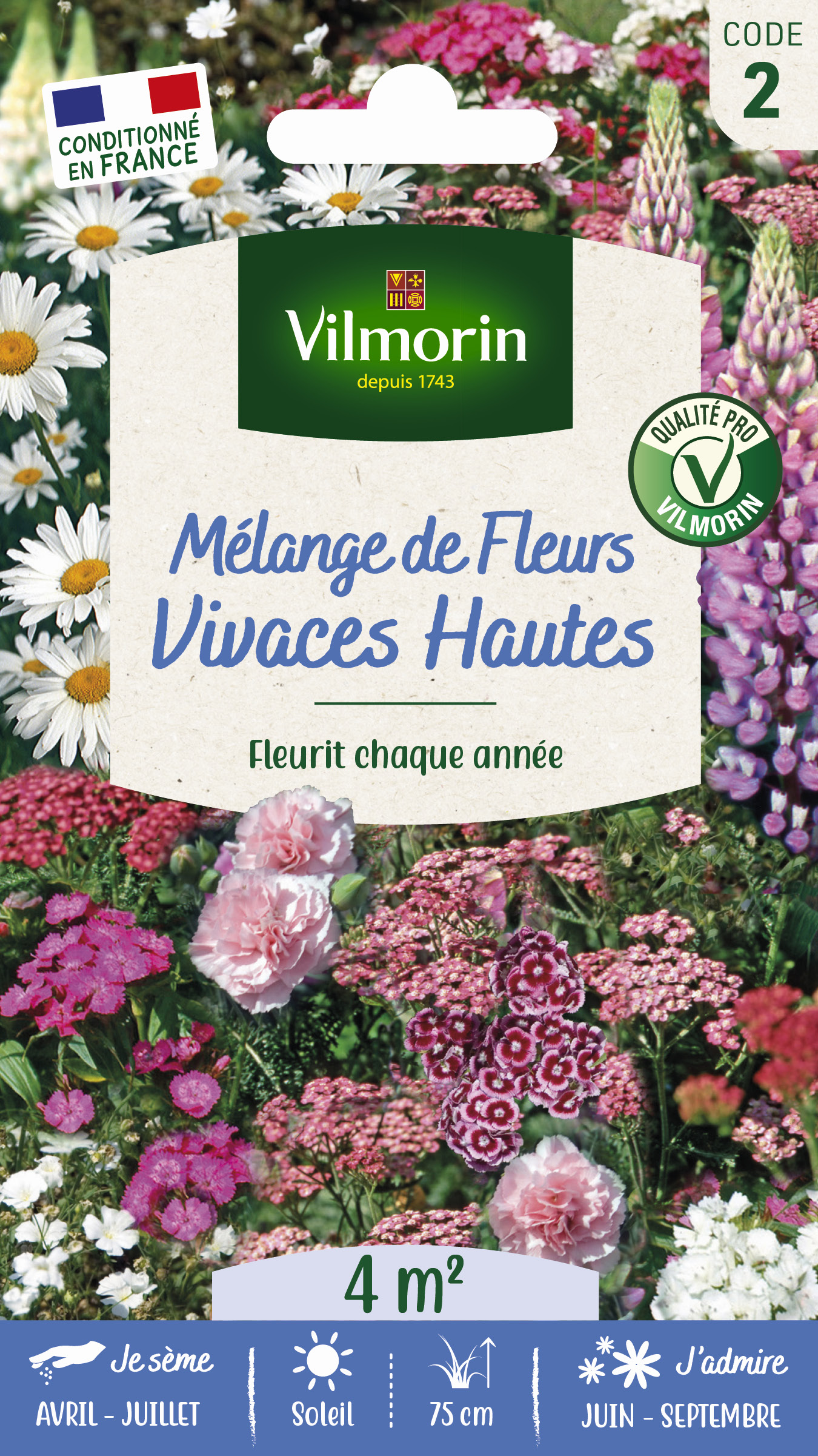 Fleurs Vivaces Hautes - 4 m² - Mélange de fleurs