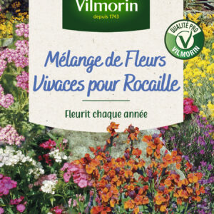Fleurs Vivaces pour Rocaille - 4 m² - Mélange de fleurs
