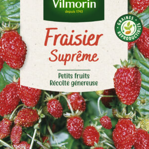 Fraisier 4 saisons Suprême