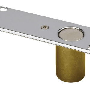 Gâche de sol anti-poussière 841 DOM N184100000