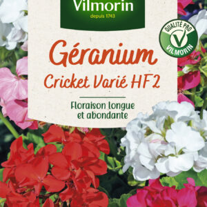 Géranium Cricket Varié