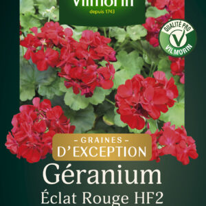 Géranium Eclat Rouge HF2 - Graines d'Exception