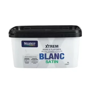 H18313-5L - Peinture XTREM - Grand blanc -