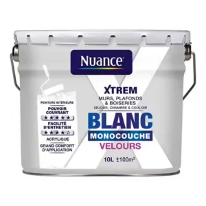 H18314-10L - Peinture XTREM - Monocouche -
