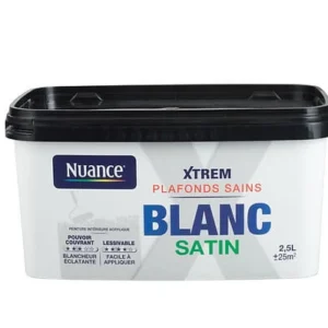 H18317-2L5 - Peinture XTREM Plafonds sains