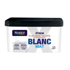H18318-2L5 - Peinture XTREM Plafonds taché