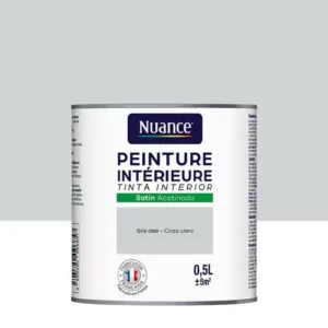 H20113-0L5 - Peinture Bicouche - Gris clair