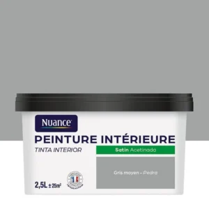 H20115-2L5 - Peinture Bicouche - Gris moyen