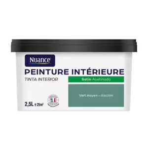 H20118-2L5 - Peinture Bicouche - Vert moyen