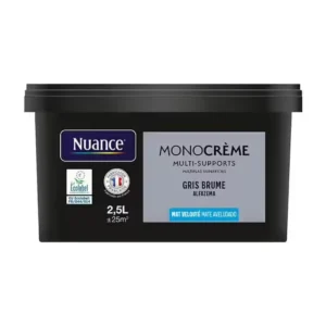 H20132-2L5 - Peinture MonocrÃ¨me - Gris bru