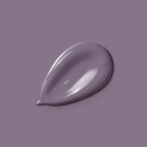 H20147-2L5 - Peinture Monocrème - Violette