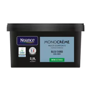 H20153-2L5 - Peinture MonocrÃ¨me - Bleu fjo
