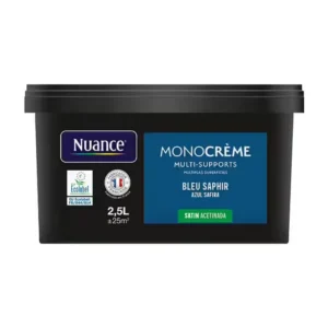 H20161-2L5 - Peinture MonocrÃ¨me - Bleu sap
