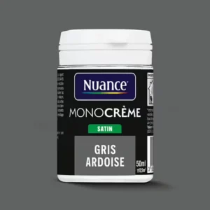 H20169-0L05 - Testeur peinture MonoCrÃ¨me -