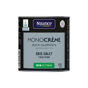 H20172-0L5 - Peinture MonoCrÃ¨me - Gris gal