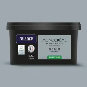 H20172-2L5 - Peinture MonocrÃ¨me - Gris gal