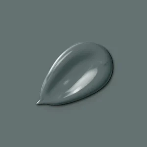 H20173-2L5 - Peinture MonocrÃ¨me - Gris ora
