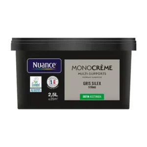 H20174-2L5 - Peinture Monocrème - Gris sil