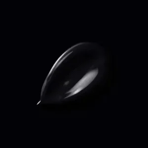 H20178-0L5 - Peinture MonoCrÃ¨me - Noir - S