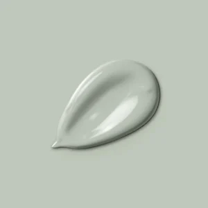 H20188-2L5 - Peinture Monocrème - Vert de