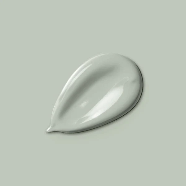 H20188-2L5 - Peinture Monocrème - Vert de
