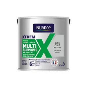 H20264-2L - Peinture XTREM - Multi support