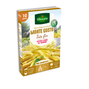Haricot Grimpant Beurre Monte Gusto - 10 m
